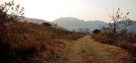 长岭国家登山健身步道_健身步道_健身步道材料