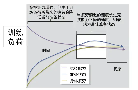 国内马拉松高手_马拉松国内选手_马拉松顶尖选手